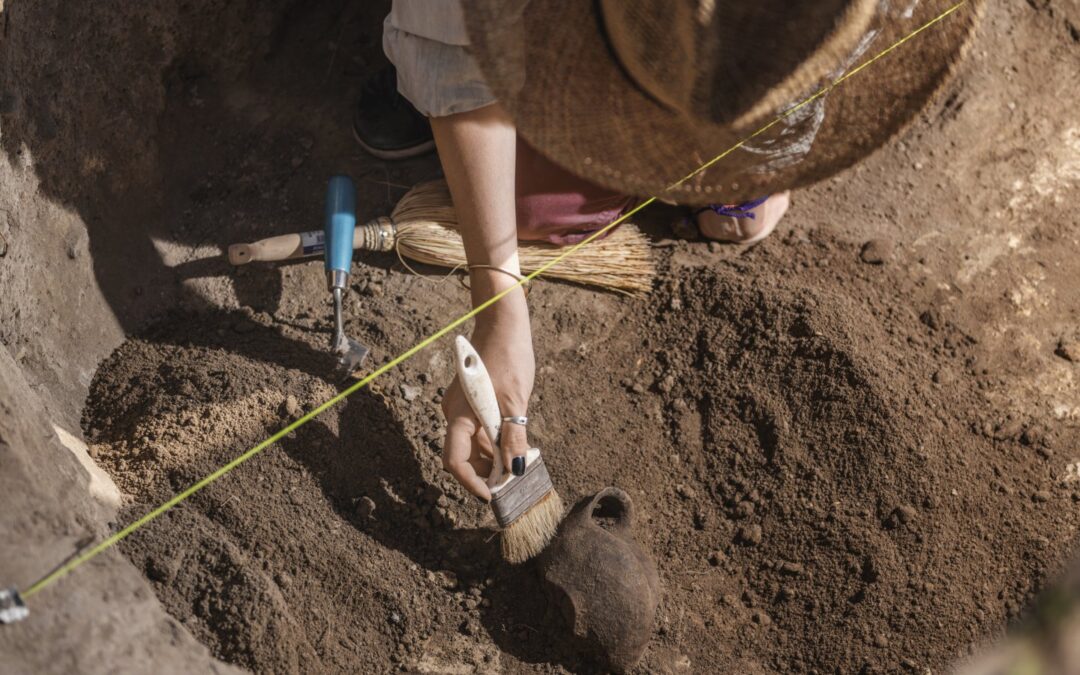 Wykopaliska: Kompleksowy przewodnik po świecie archeologii i paleontologii